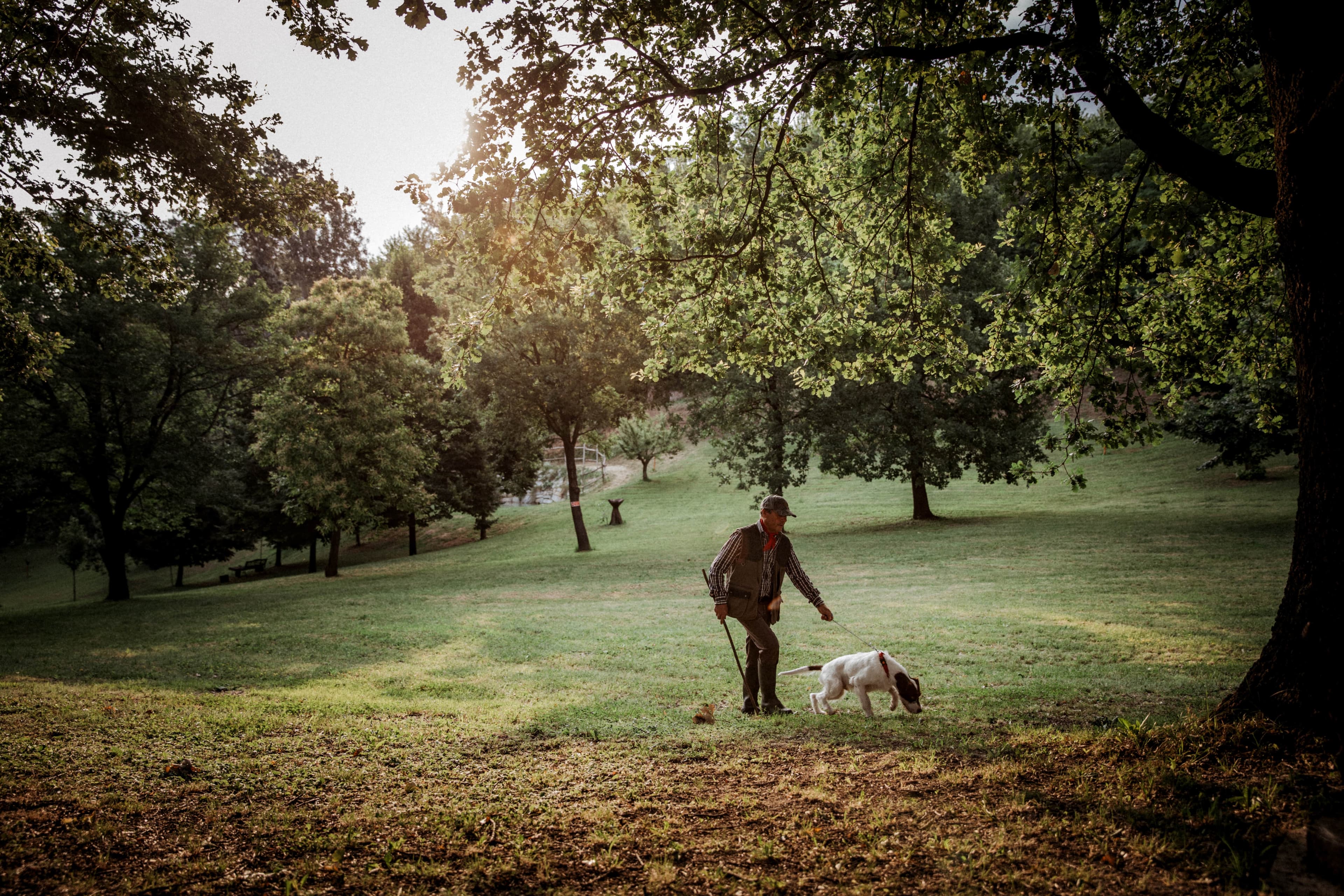 El Valet Canelli truffle hunt