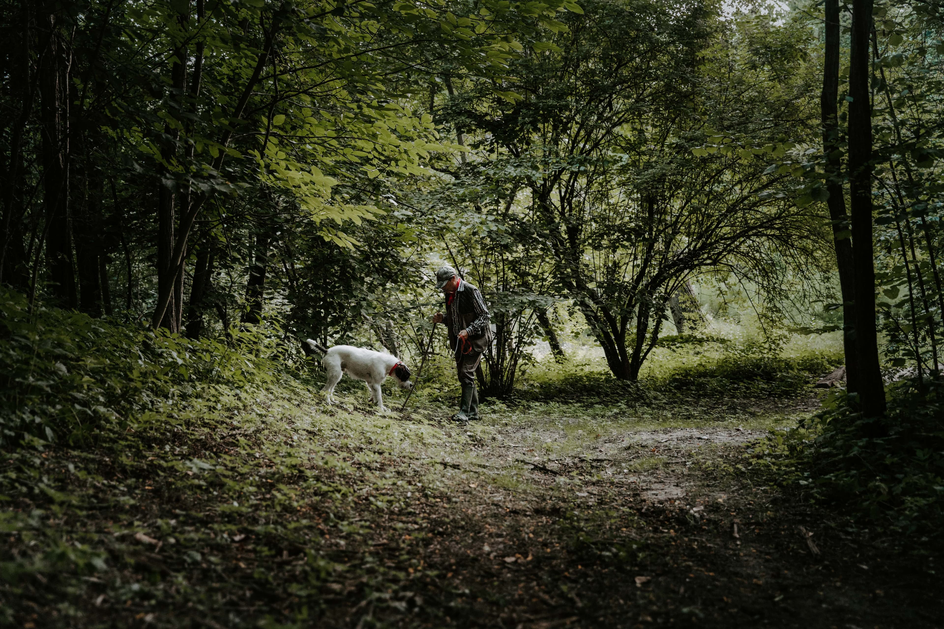 El Valet Canelli truffle hunt