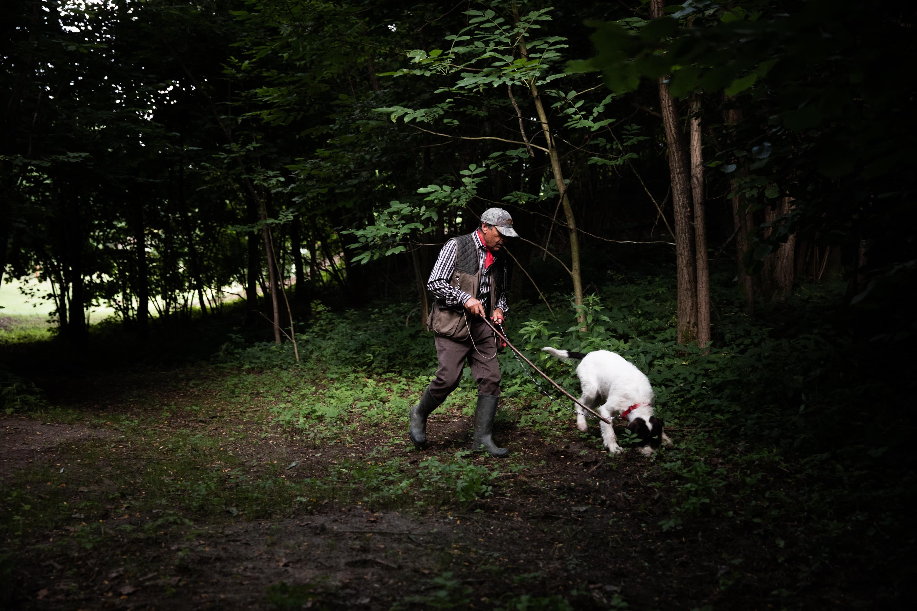 El Valet Canelli truffle hunt