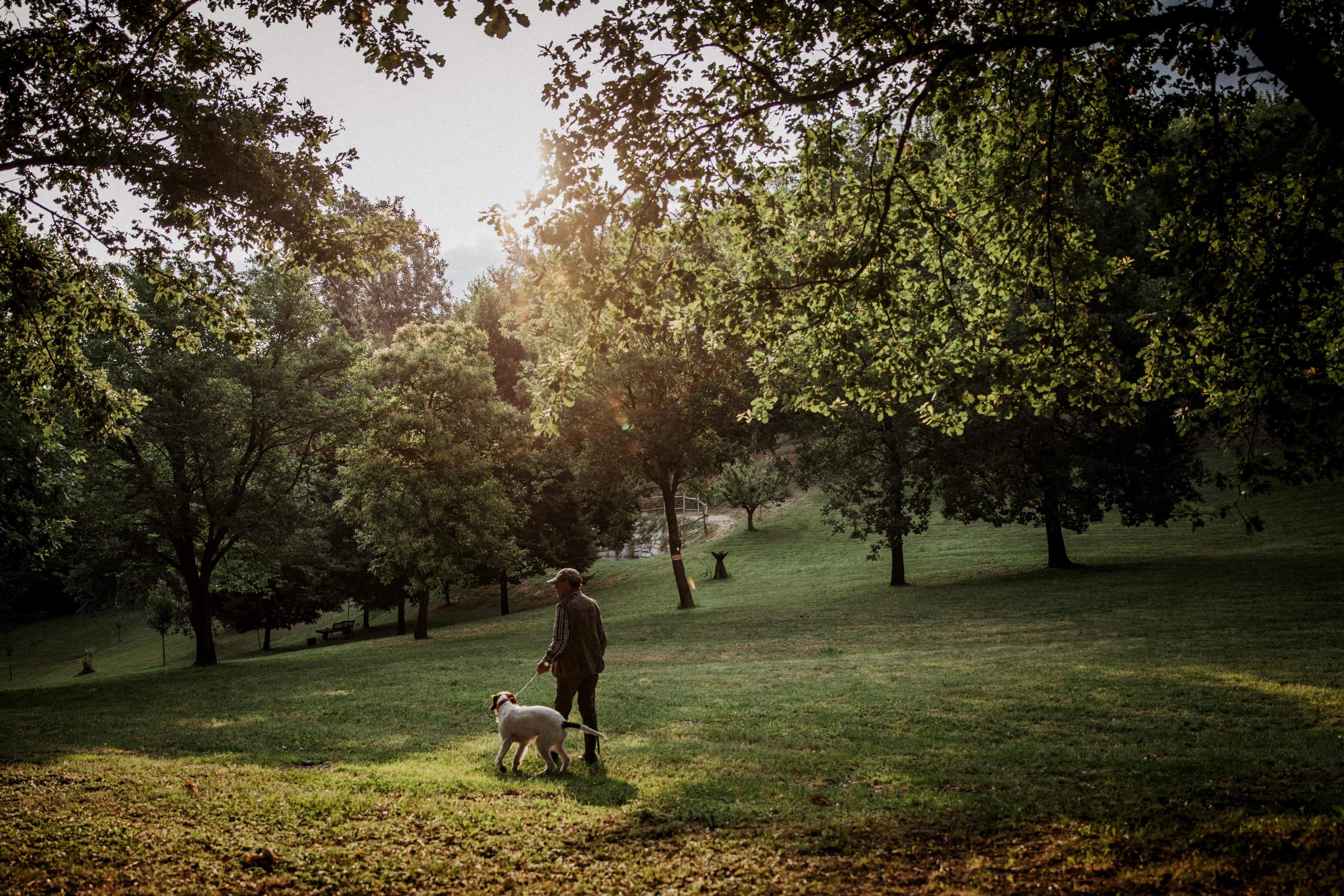 El Valet Canelli truffle hunt